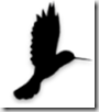colibri